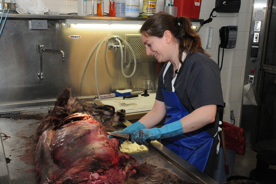 Ashland Forensics Lab-2
