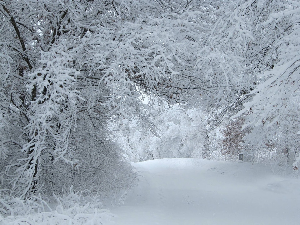 Winter wonderland at Trempealeau National Wildlife Refuge