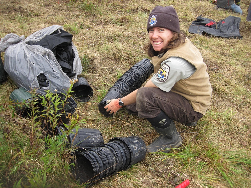 Planting at Rachel Carson National Wildlife Refuge