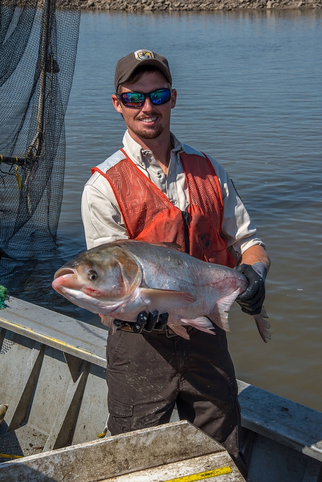 Crew member on The Magna Carpa, capturing Silver carp