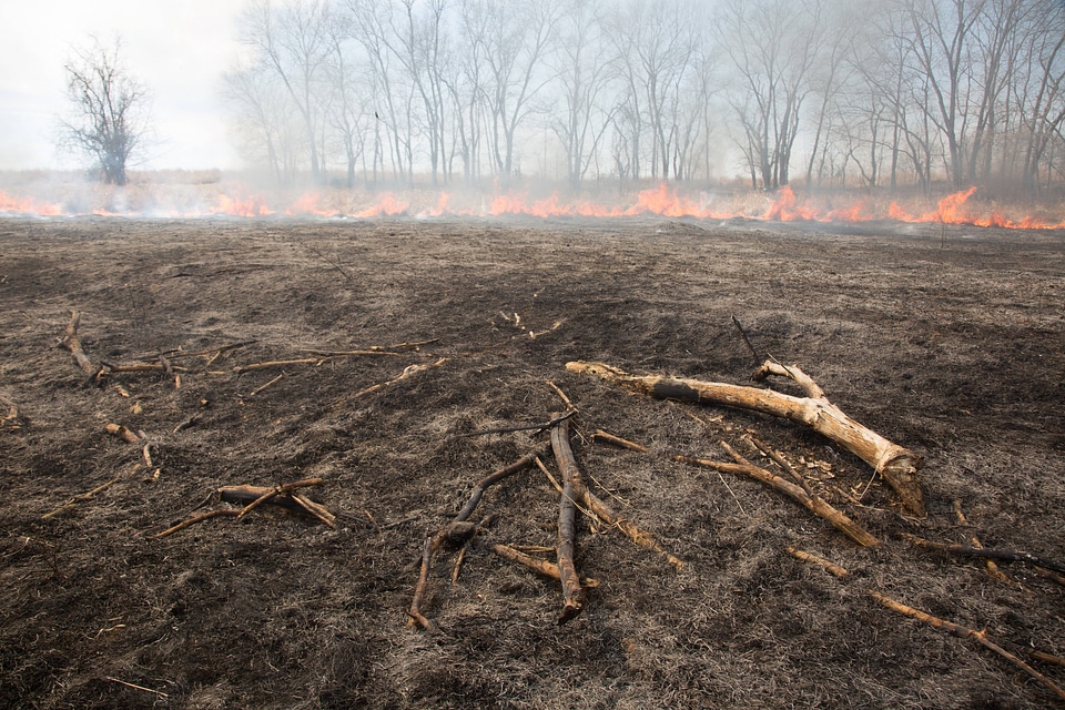 Prescribed burn at NCTC-1