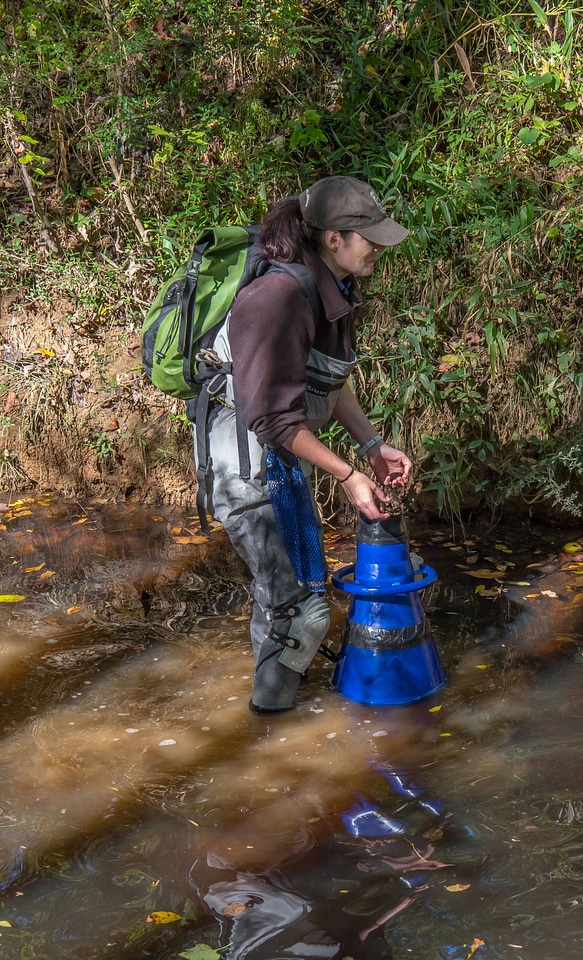 FWS mussel biologist, Morgan Wolf, releases endangered Carolina Heelsplitter-1