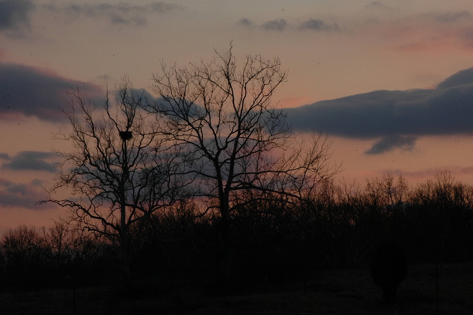 NCTC eagles nest at night-1