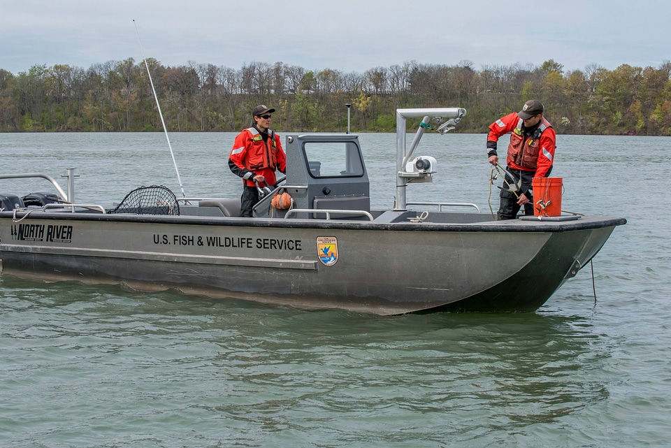 USFWS Fisheries crew in boat preparing for lake sturgeon field work-1