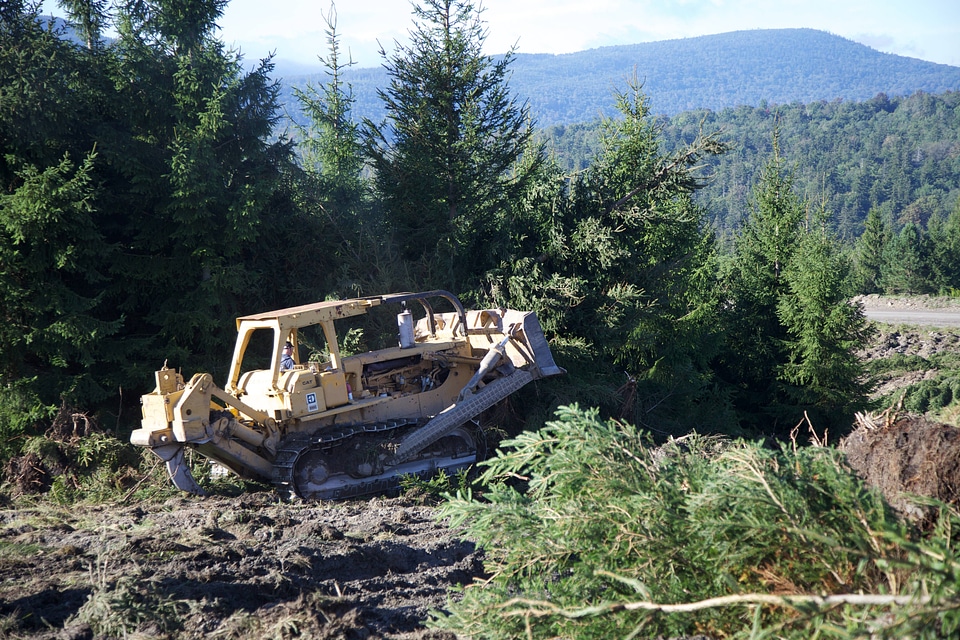 Bulldozer loosens the ground for red spruce restoration-1