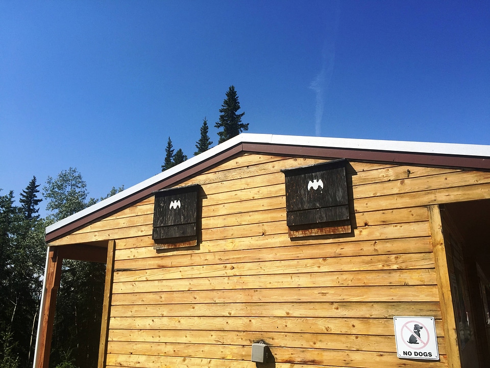 Bat boxes at Tetlin National Wildlife Refuge