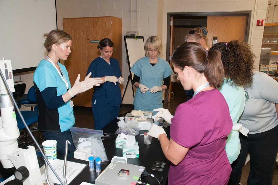 Marine Mammal Stranding Course at NCTC-2