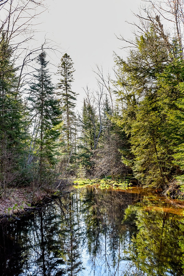 Water source at Pendills Creek National Fish Hatchery-3