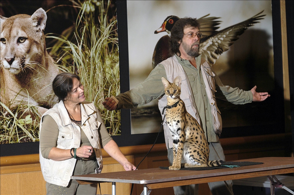Wildlife educators with African Serval cat