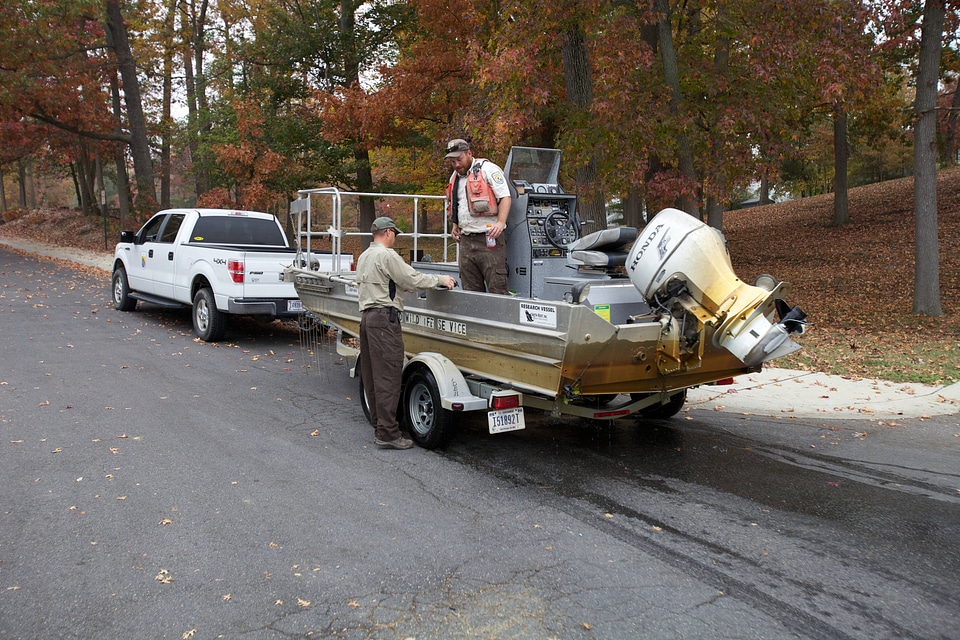 Electrofishing for Northern Snakehead-1