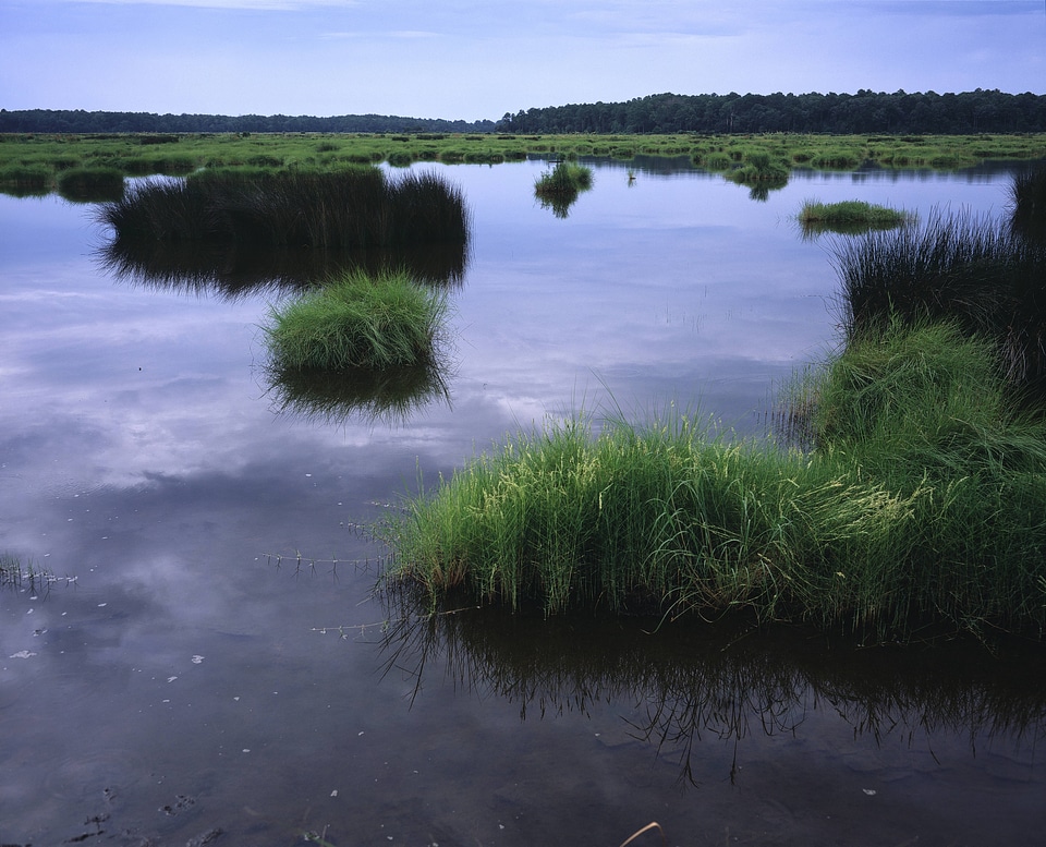 South Carolina Coast