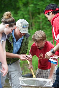 Macroinvertebrate identification