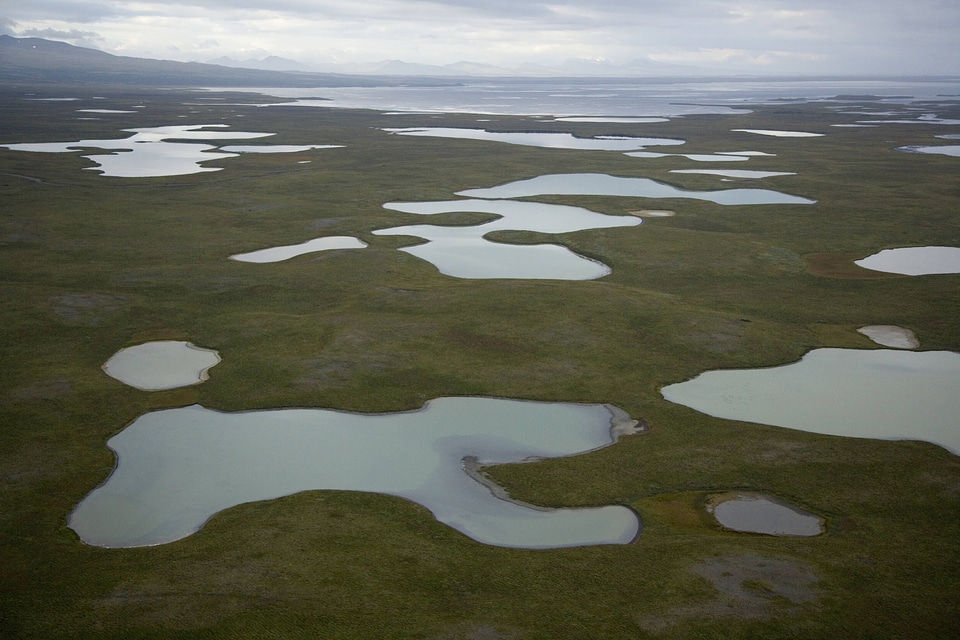 Izembek National Wildlife Refuge-3