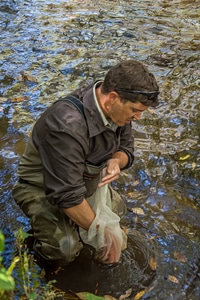 FWS mussel biologist, Jonathan Wardell, releases endangered Carolina Heelsplitter