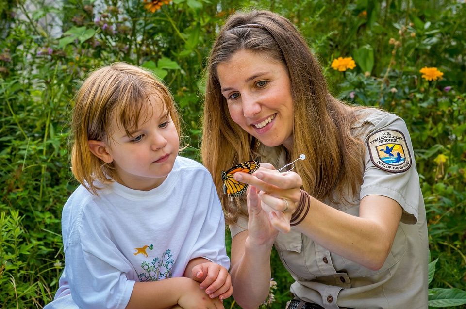 FWS employee explains to child how to tag a monarch