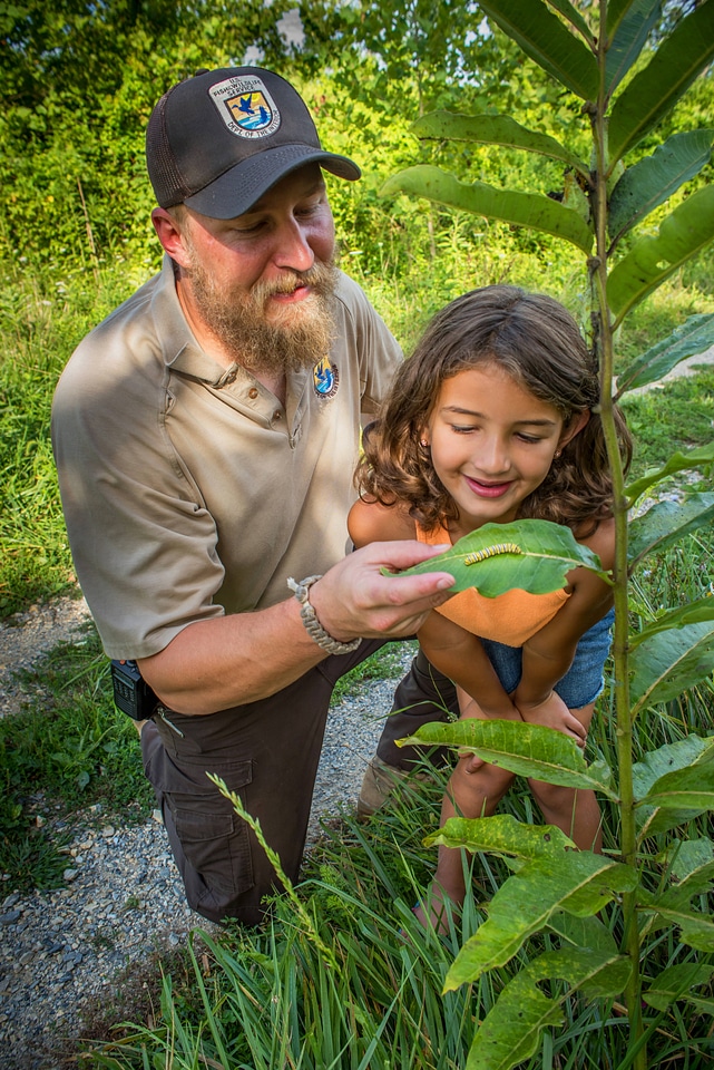FWS employee shows young girl a Monarch caterpillar-2