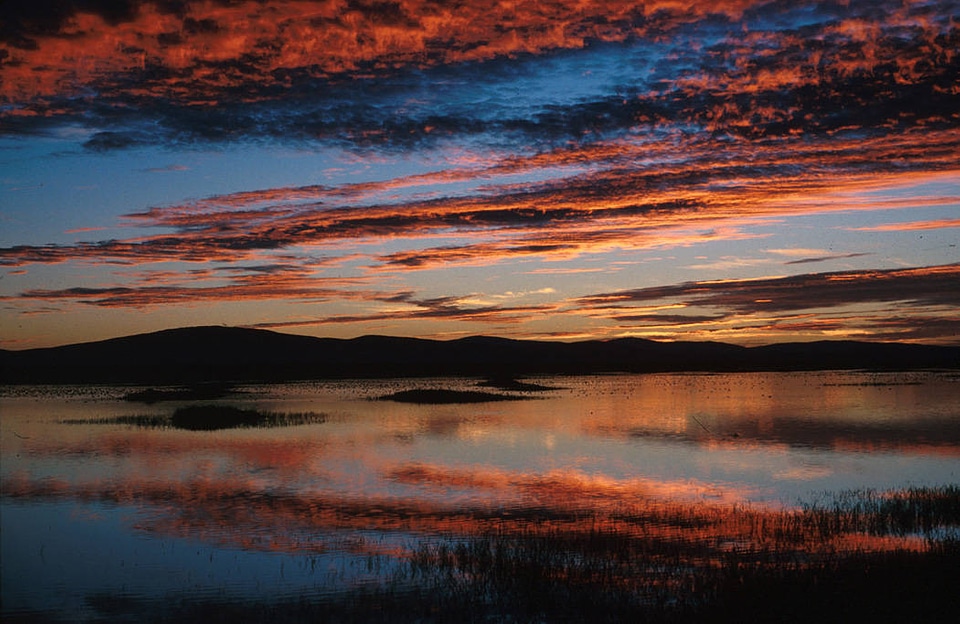 Lower Klamath National Wildlife Refuge-1