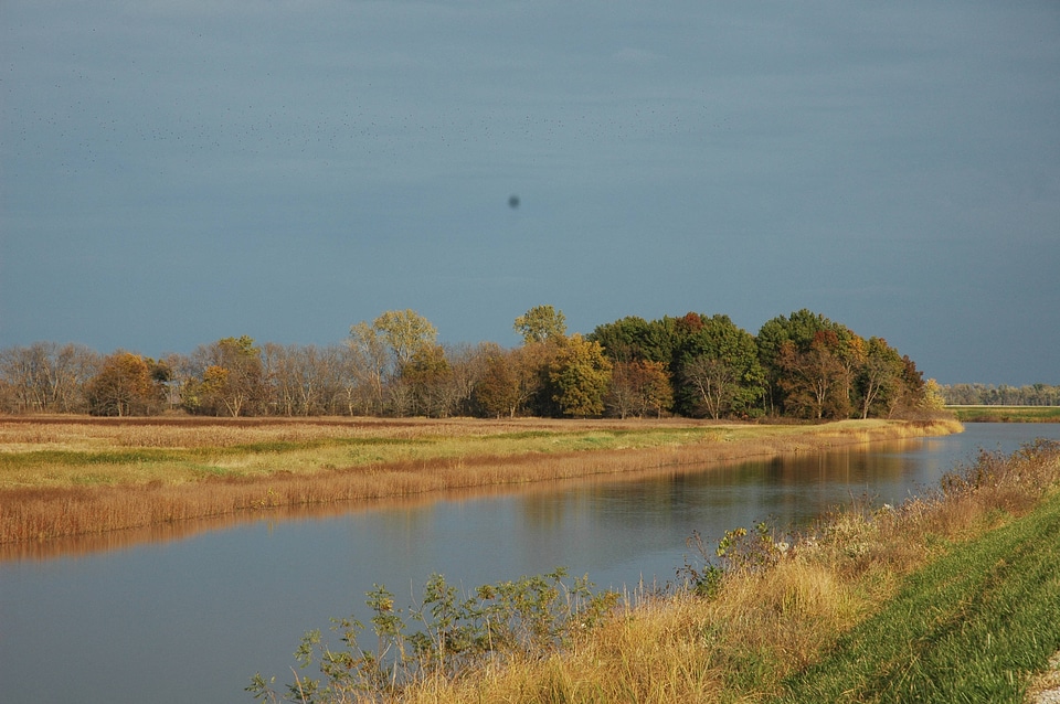 Scenic view of wetland