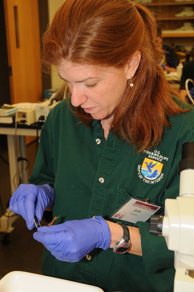Service employee looking at specimen-3