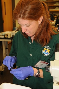 Service employee looking at specimen-3