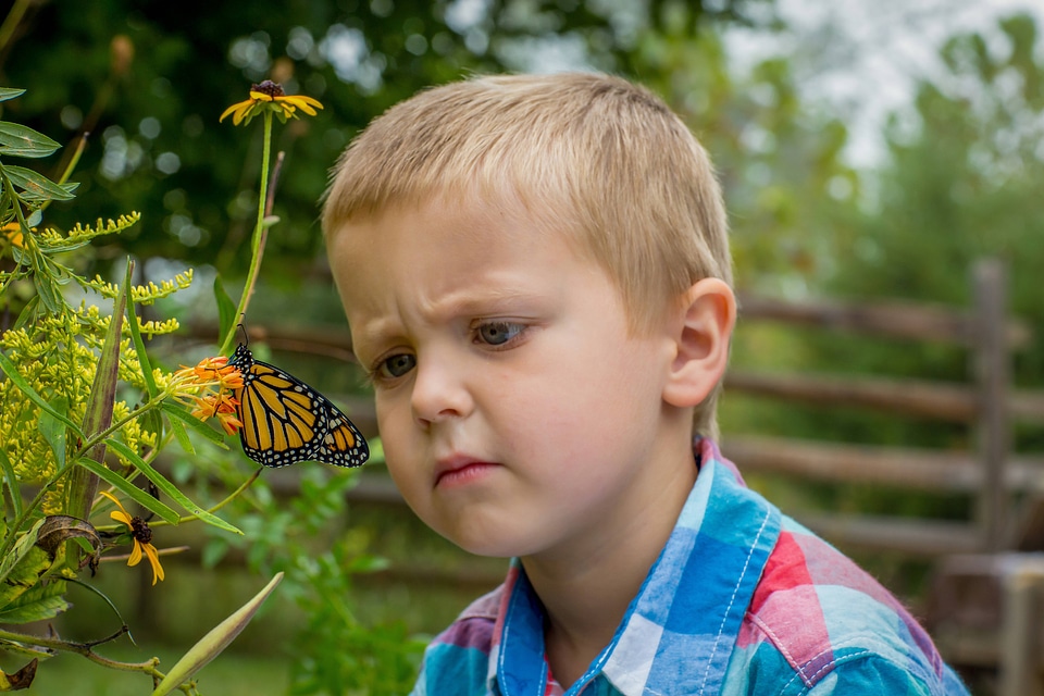 Little boy with monarch butterfly-1