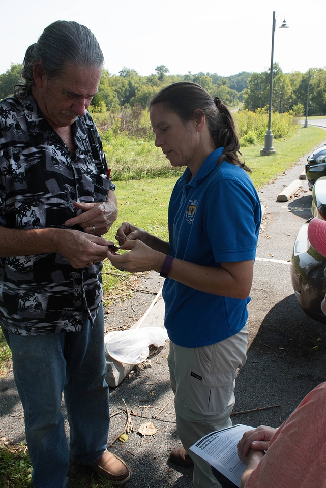 NCTC Monarch Coordinator getting monarch butterfly out of net-1