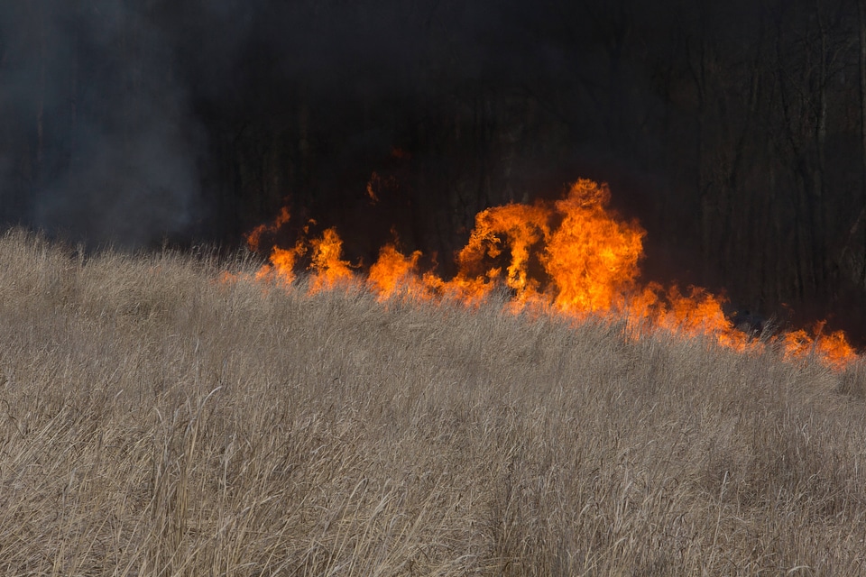 Prescribed burn at NCTC -2