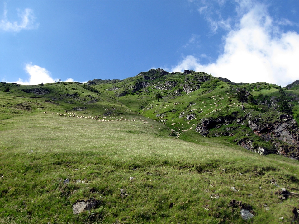 Landscape outdoor environment