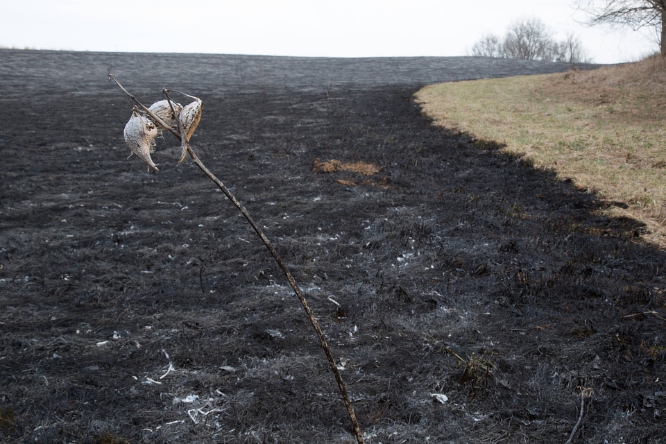 Prescribed burn at NCTC-3