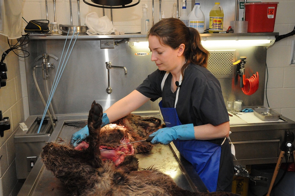 Ashland Forensics Lab-2