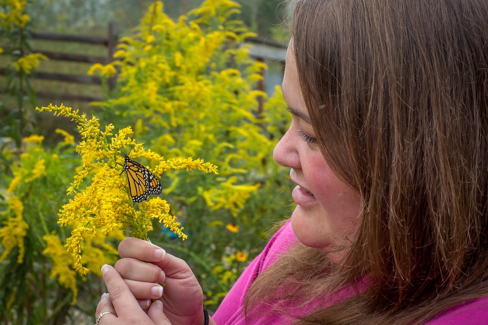 Woman holding monarch butterfly on goldenrod flower-1