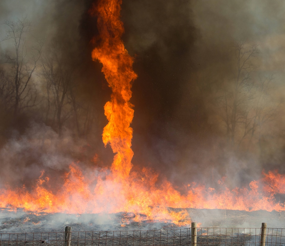 Prescribed burn at NCTC -1