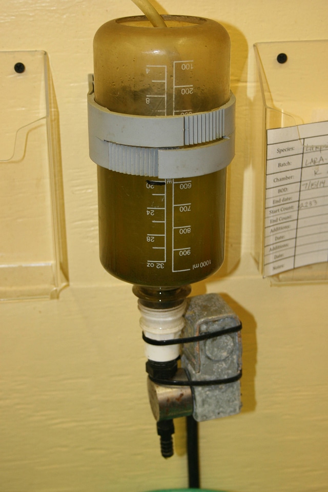 Bulk algae containers at Virginia Fisheries and Aquatic Wildlife Center