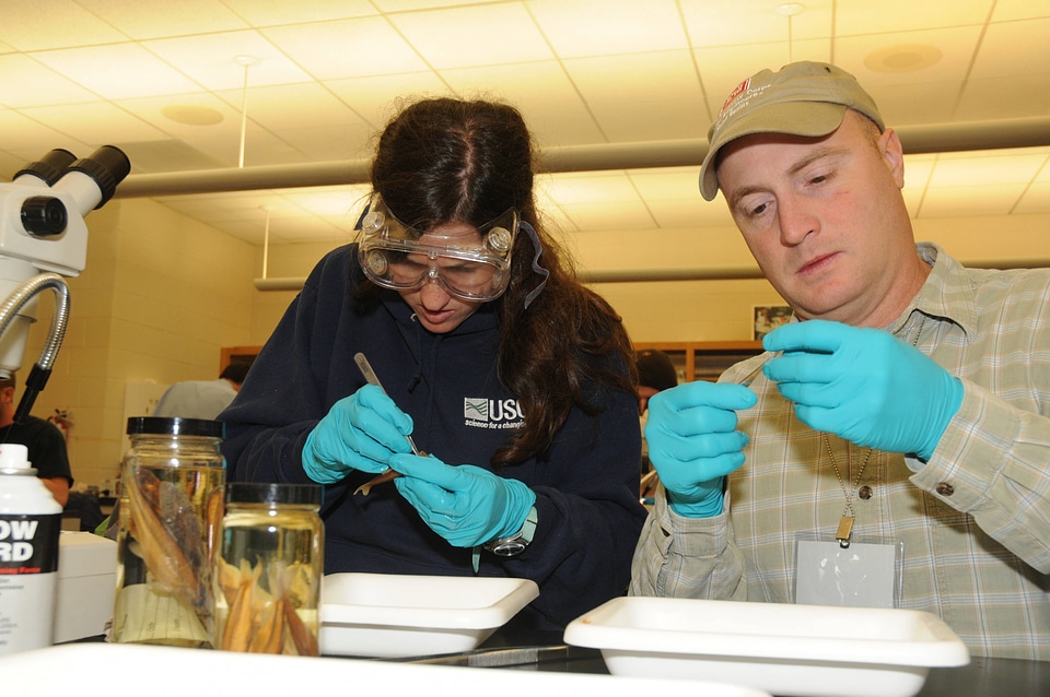 Students identifying fish-2