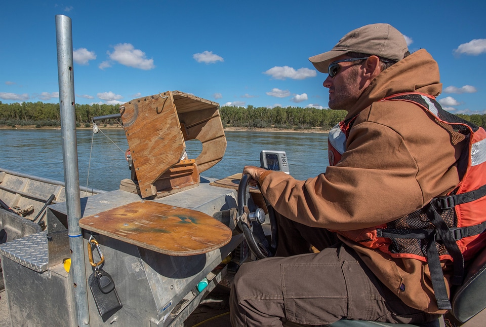 Biologist drives fisheries boat on Missouri River
