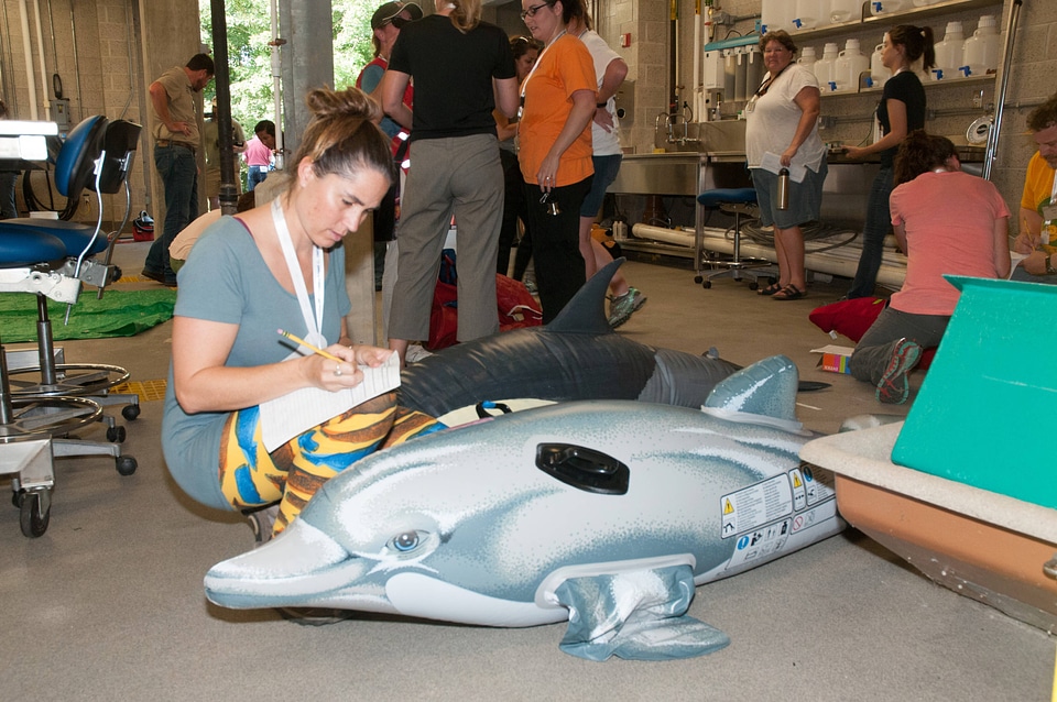 Marine Mammal Stranding Course at NCTC-2