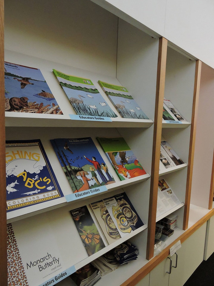 Publication display