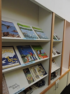 Publication display