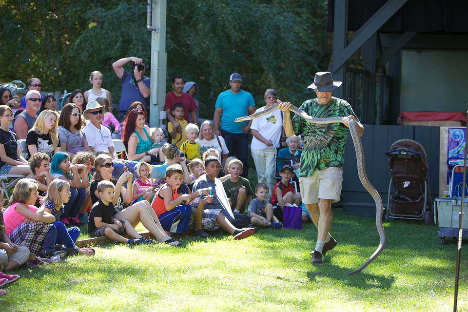 Reptile education-5