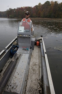 Electrofishing for Northern Snakehead-7
