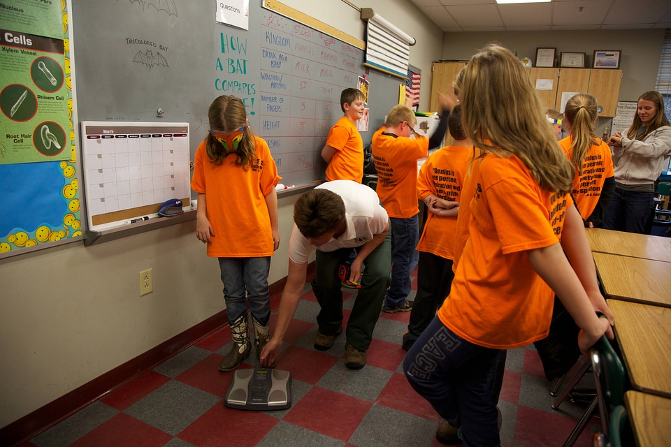 Bat education in the classroom-2