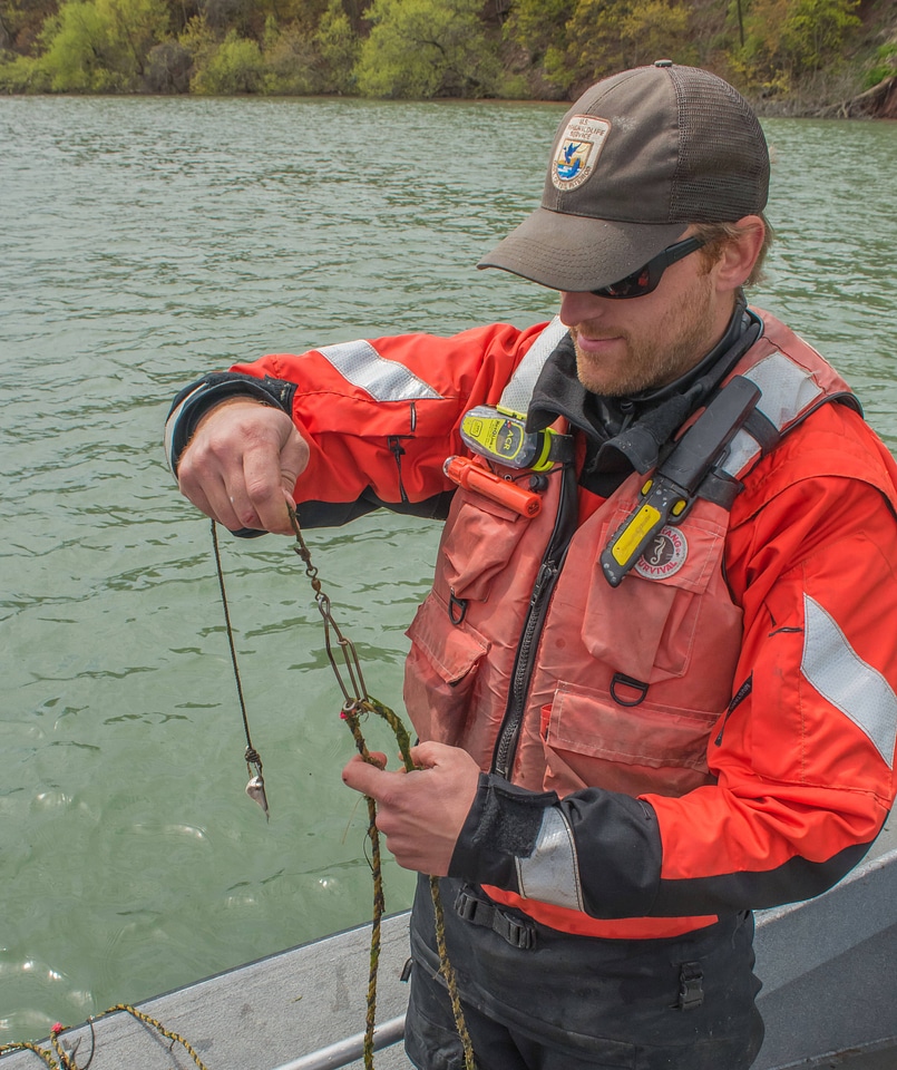 USFWS Fisheries crew baiting lines for lake sturgeon-1