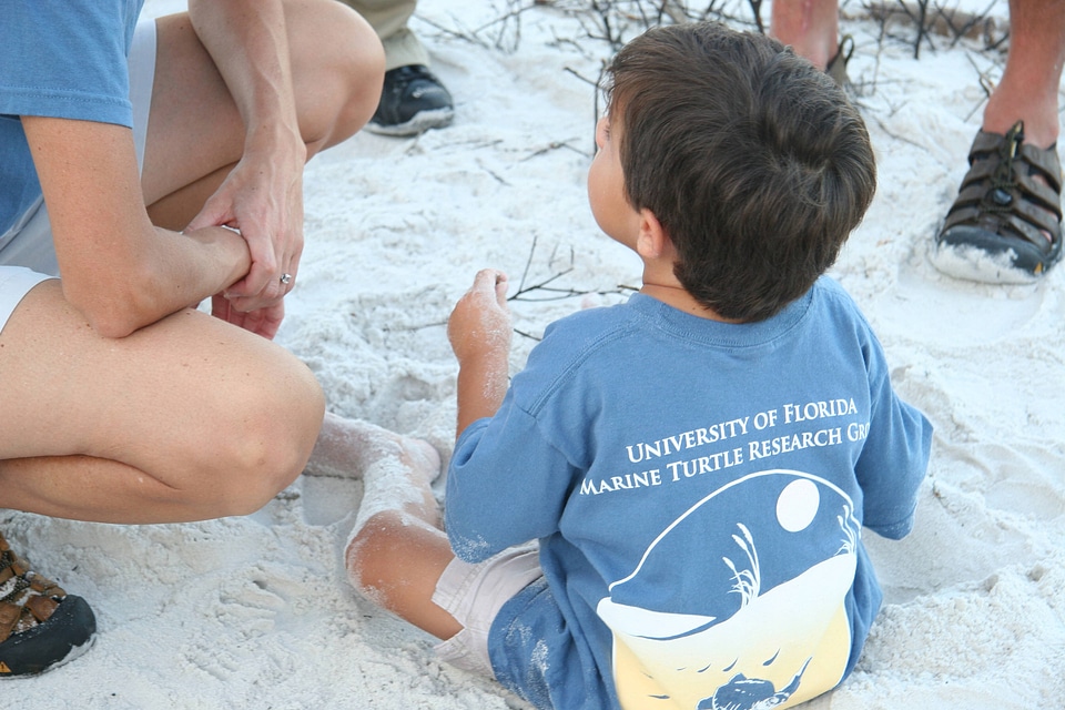 Sea Turtle egg relocation-1