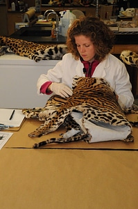 Ashland Forensics Lab-1