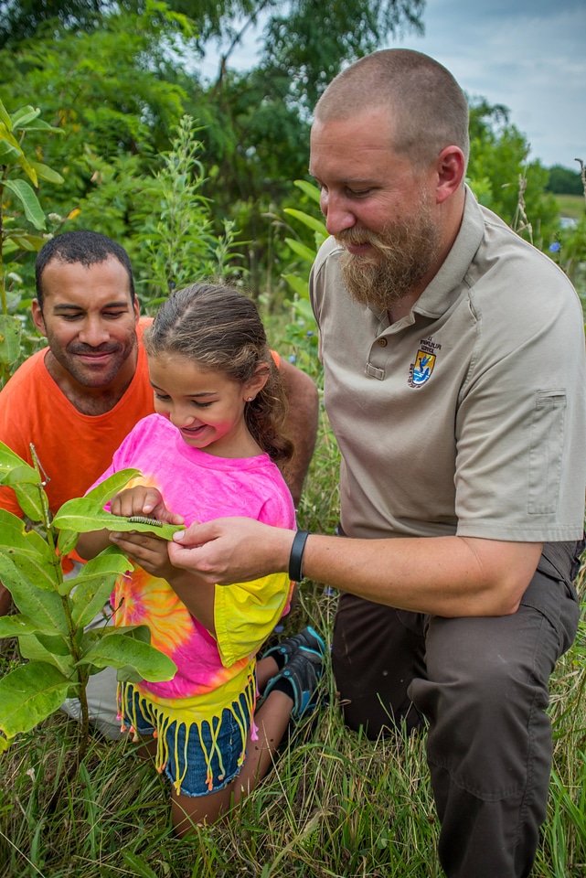 FWS employee shows a young girl (and dad) a Monarch caterpillar-1