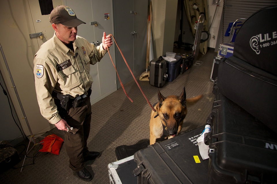 Law enforcement with K-9-1