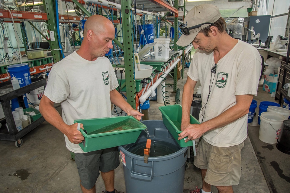 Workers clean mussel propagation equipment-2
