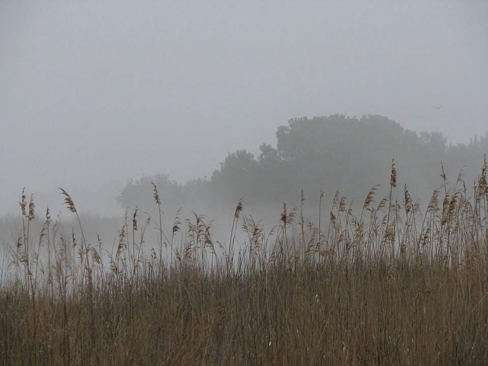 Misty sunset at Chincoteague National Wildlife Refuge