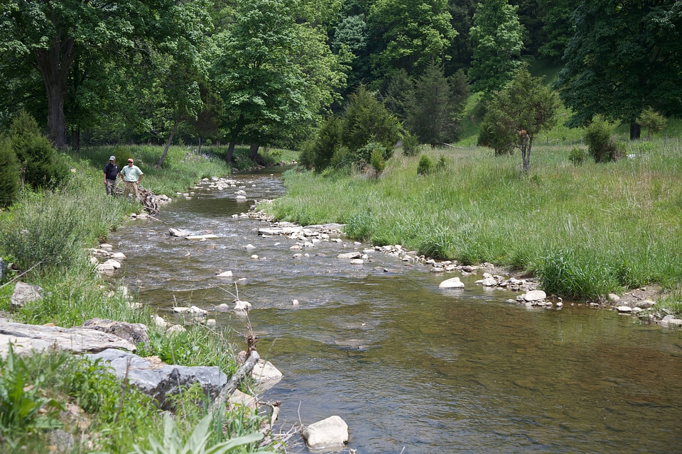 Brook Trout Restoration-2