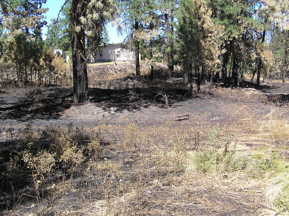 Post prescribed burn